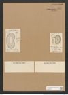 Plagiodiscus nervatus Grun. (de-Toni-Nr.: Genus 56, Species 2423) Zeichnungen Sammlung Grunow Nr. 4877 (NHMW-BOT-W0373064)